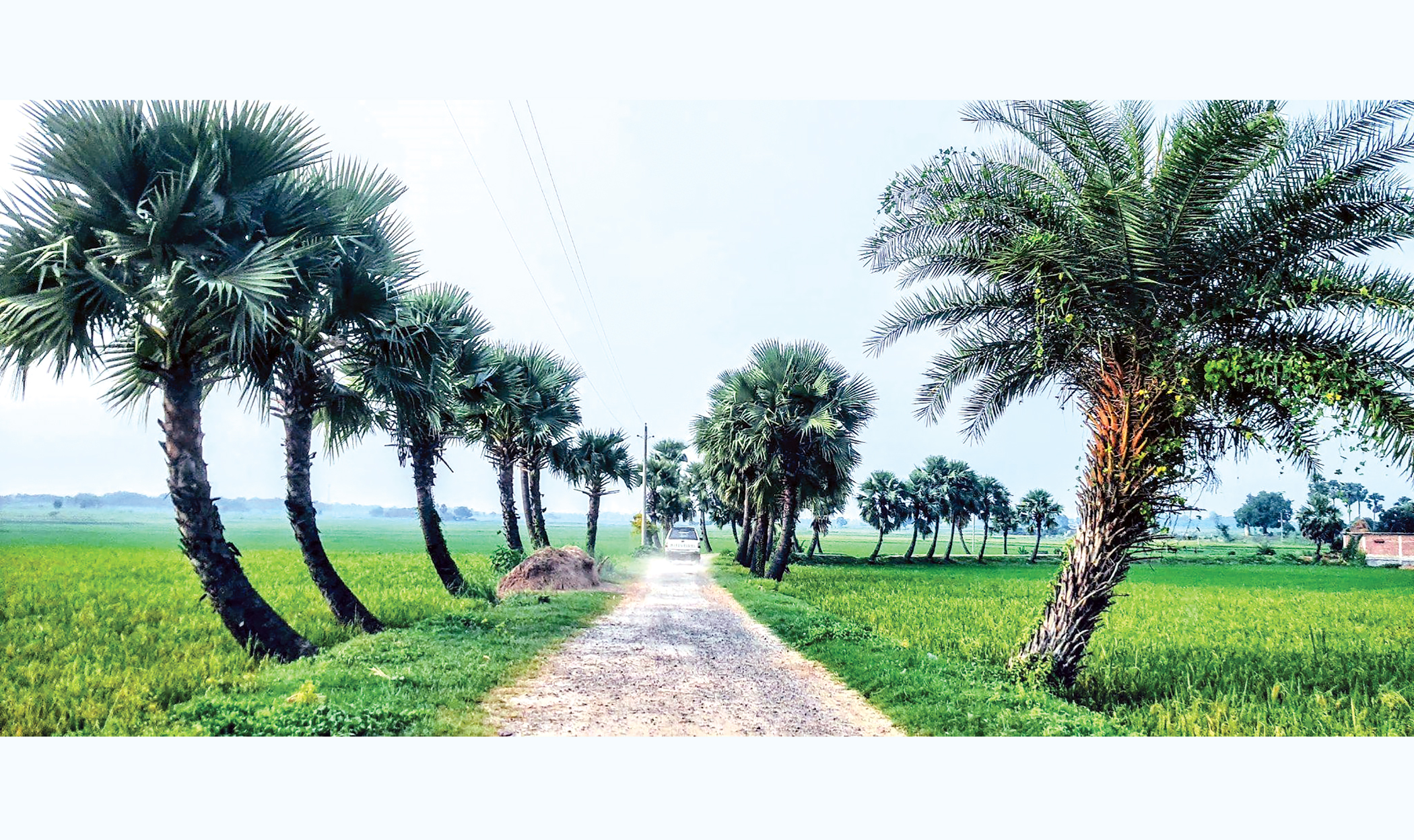 Can the Barind Tract survive its own agricultural success?