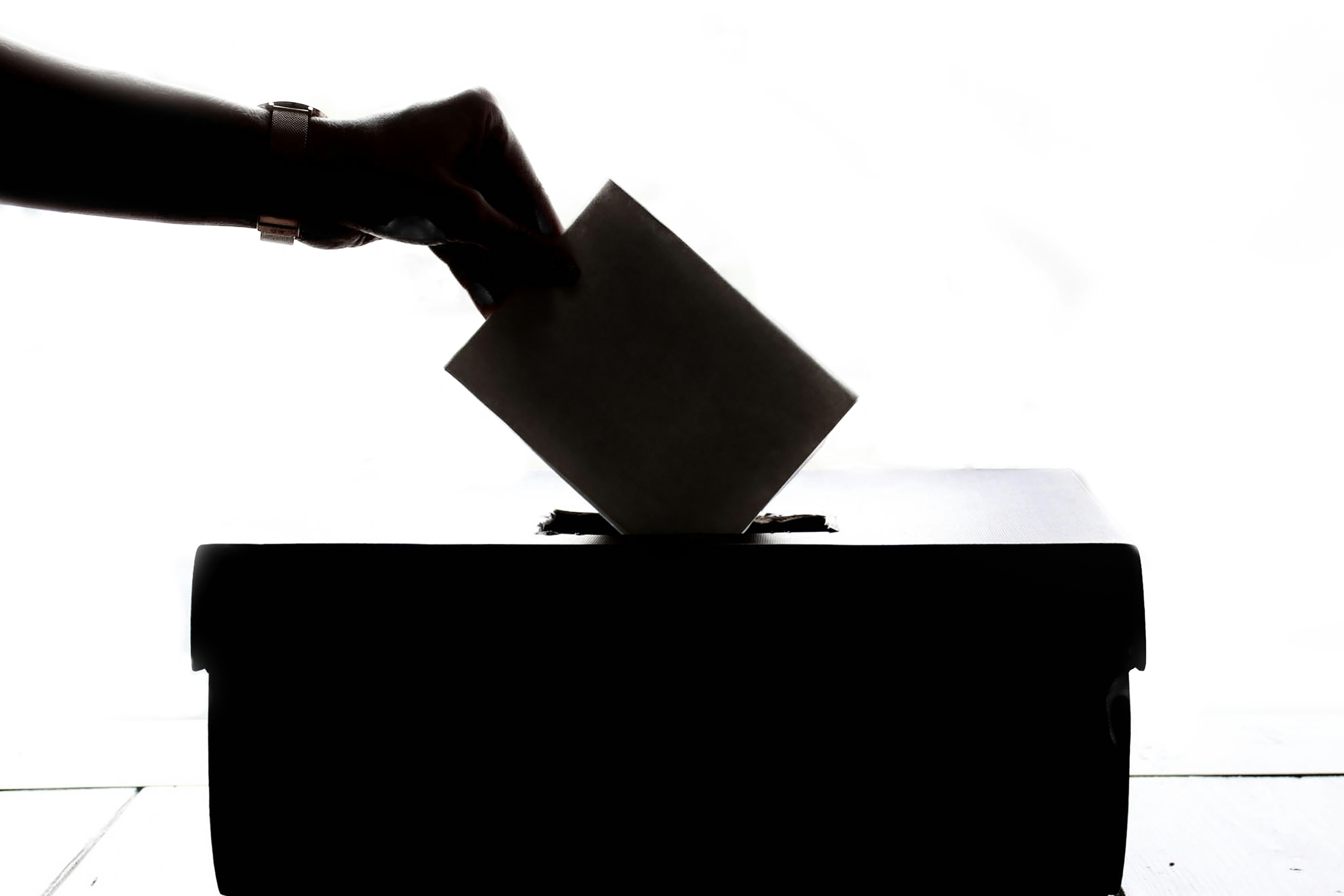 Confused about voting? Here’s a step-by-step guide