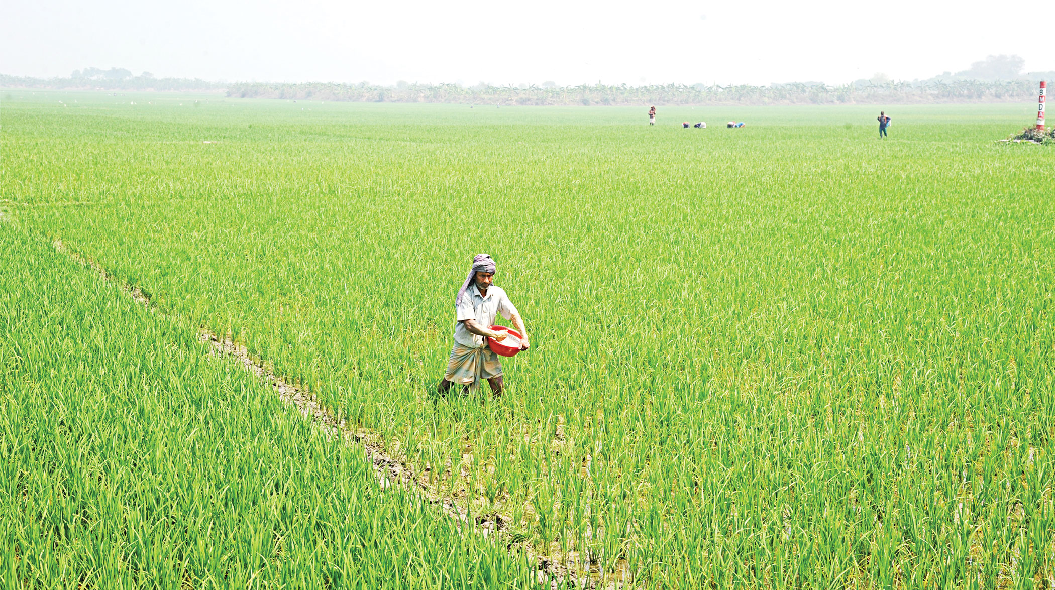 Farmers pay more for fertilisers despite no major shortage