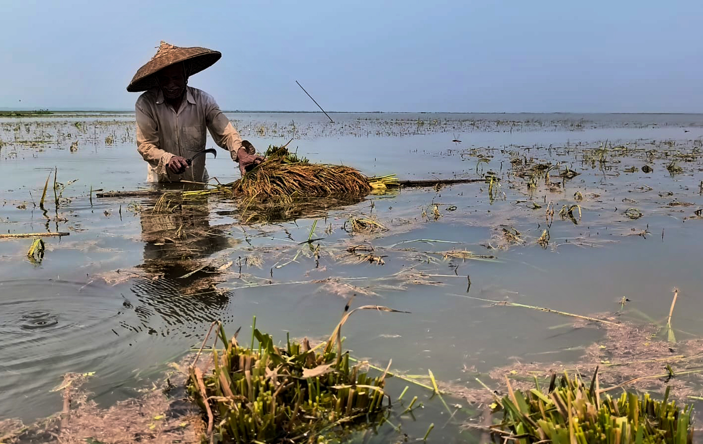 Can sluice gates fix the haor waterlogging crisis?