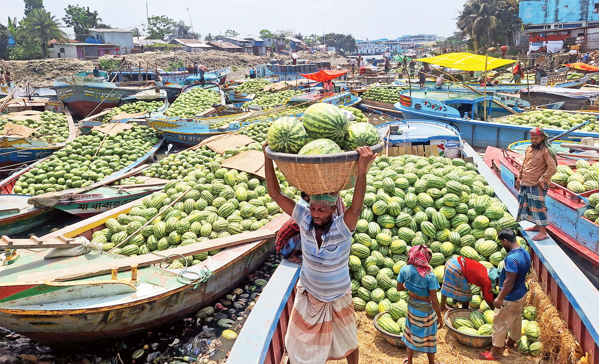 Watermelon farmers in south suffer despite bumper harvests