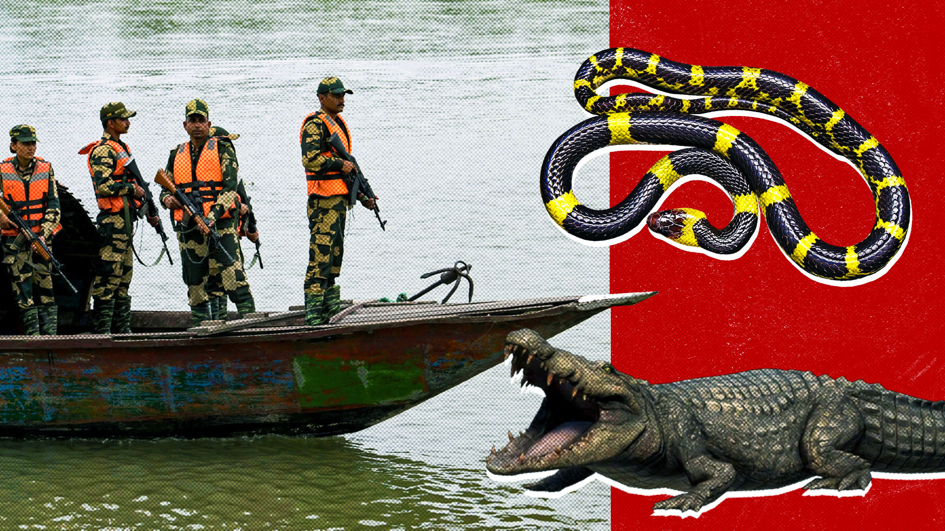 India mulls reptile river guards on Bangladesh border