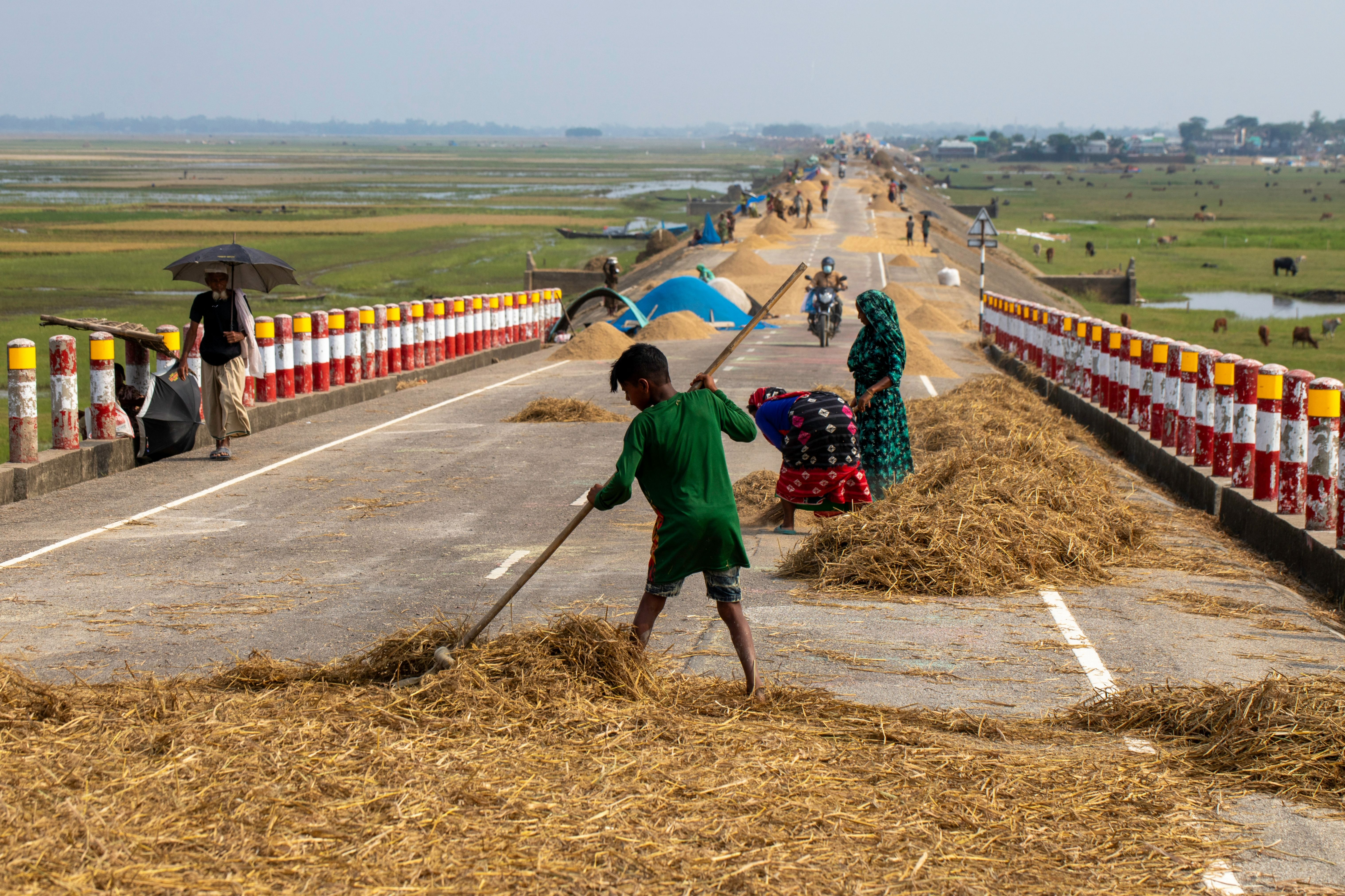 ‘Development’ tragedy in haor: Ami jamu hourbari pakka rasta chai