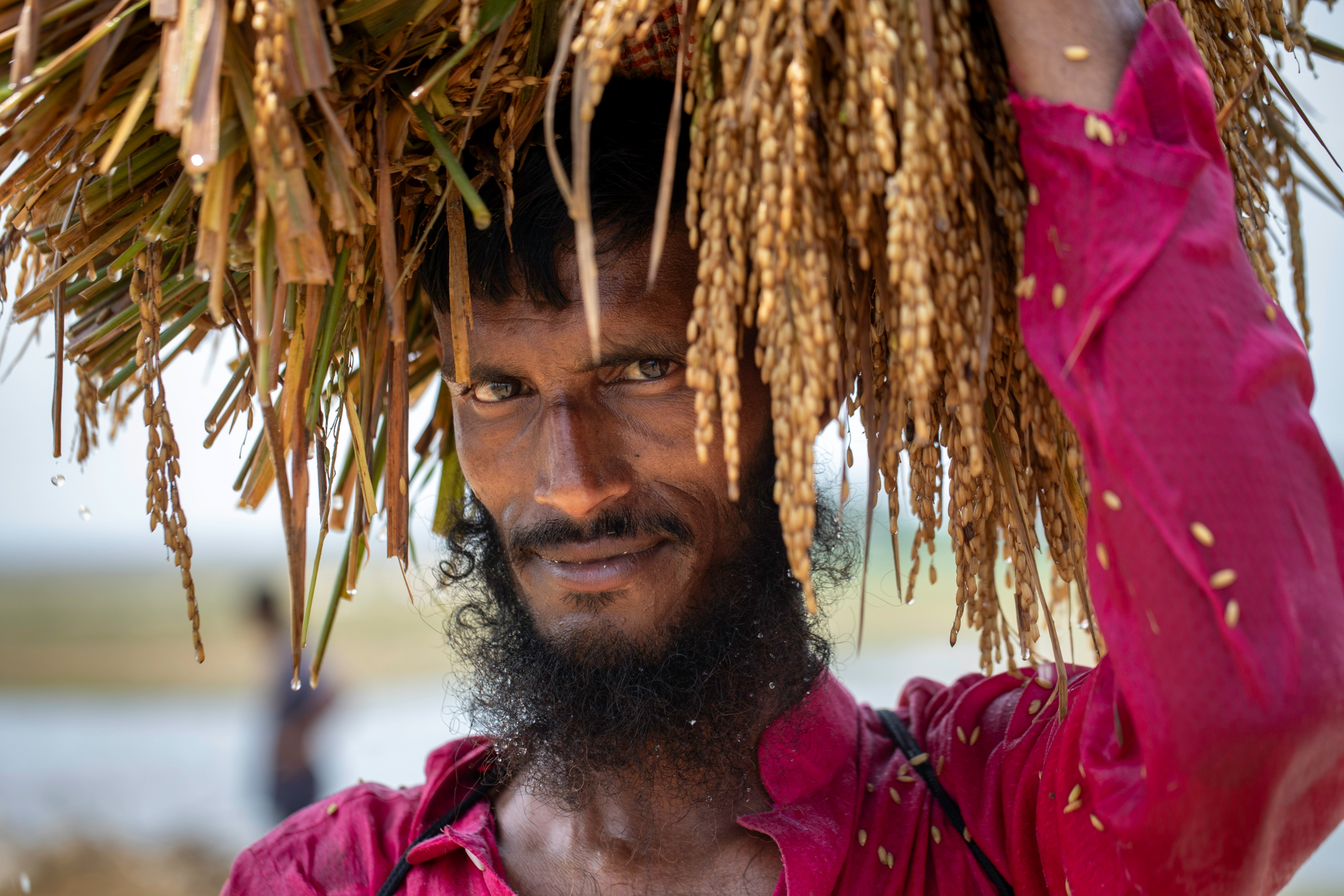 Haor crisis turning into a national crisis: Is the government aware?