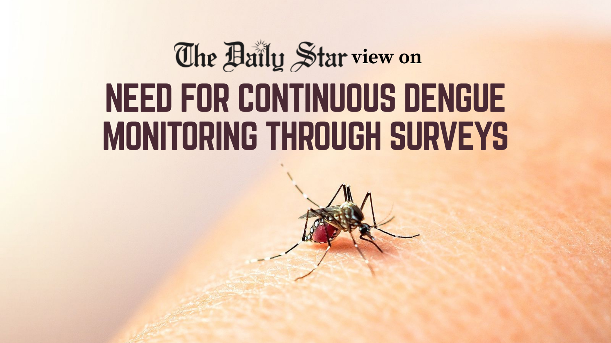 Heed the dengue warning