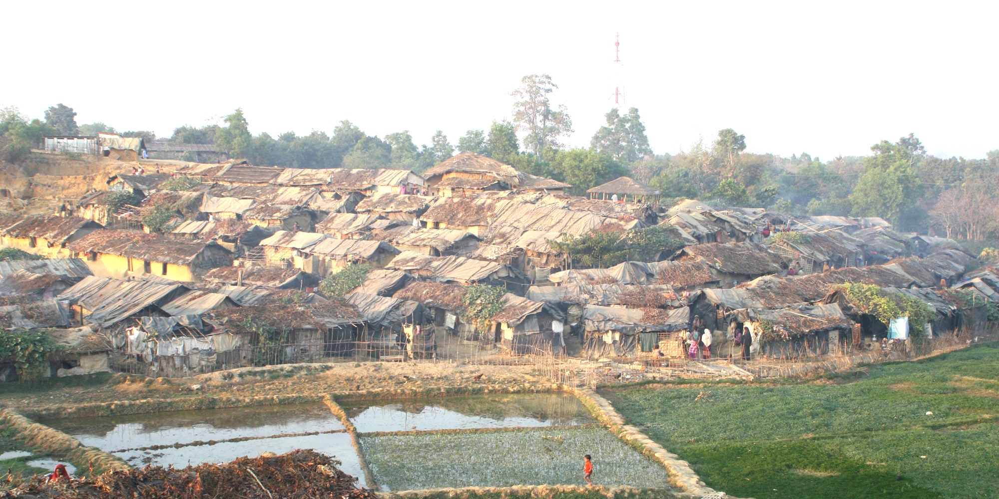 Why tensions are rising between Rohingya and Bangladeshis