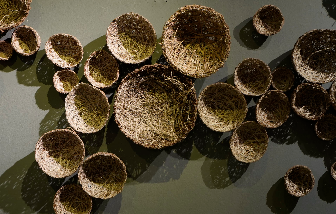 ‘Search Soul, Soil’ sheds light on environmental loss and cultural memory