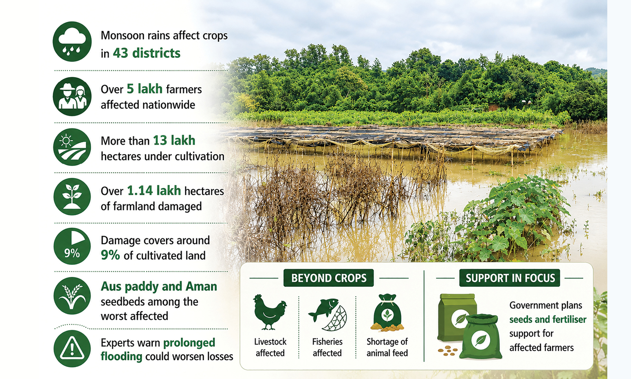 Heavy monsoon rain affects 5 lakh farmers