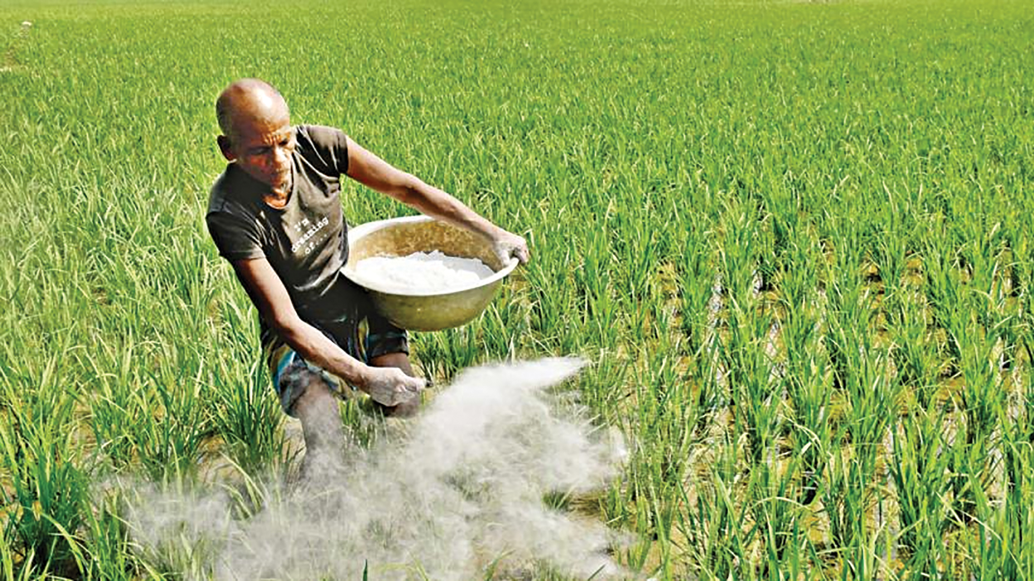 Fertiliser stocks drop below safe levels