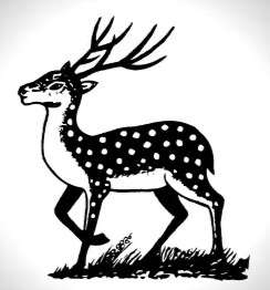 Party Symbol