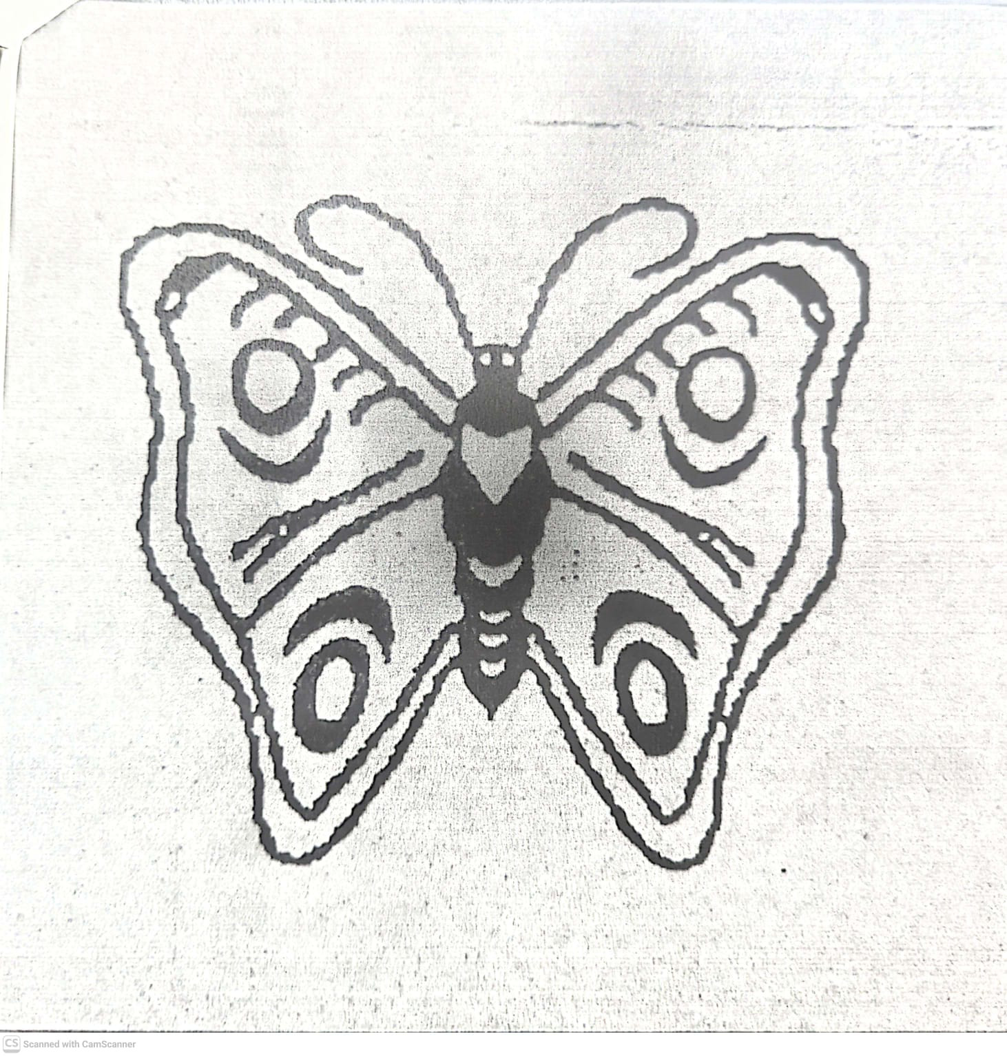 Party Symbol