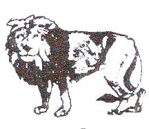 Party Symbol