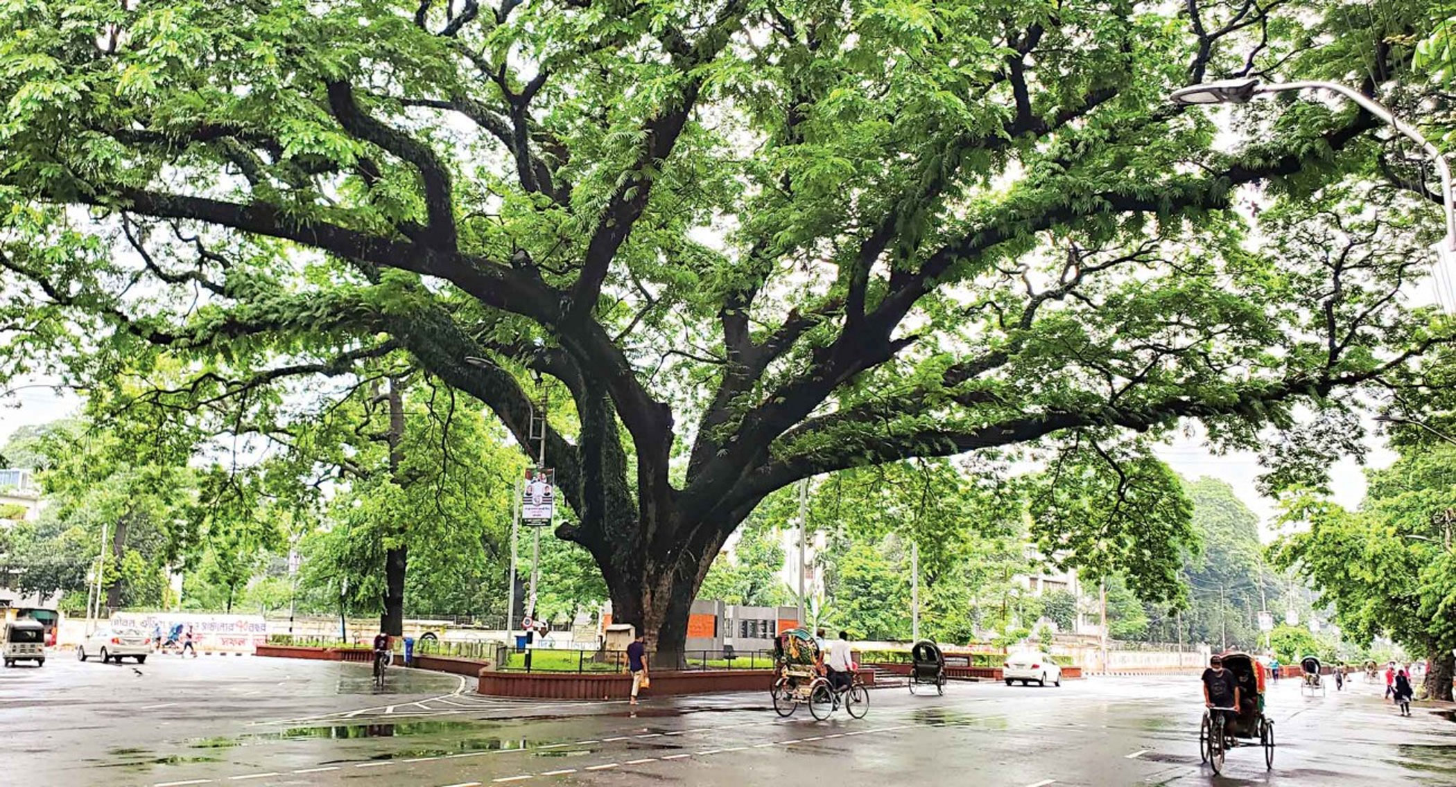 100 Years Of Dhaka University: The illusive autonomy and the partisanship