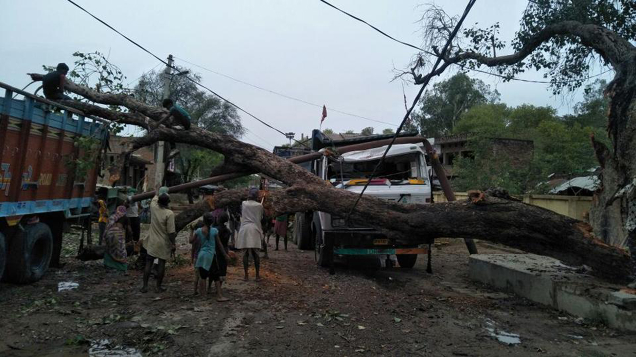 116 people killed in India dust storm
