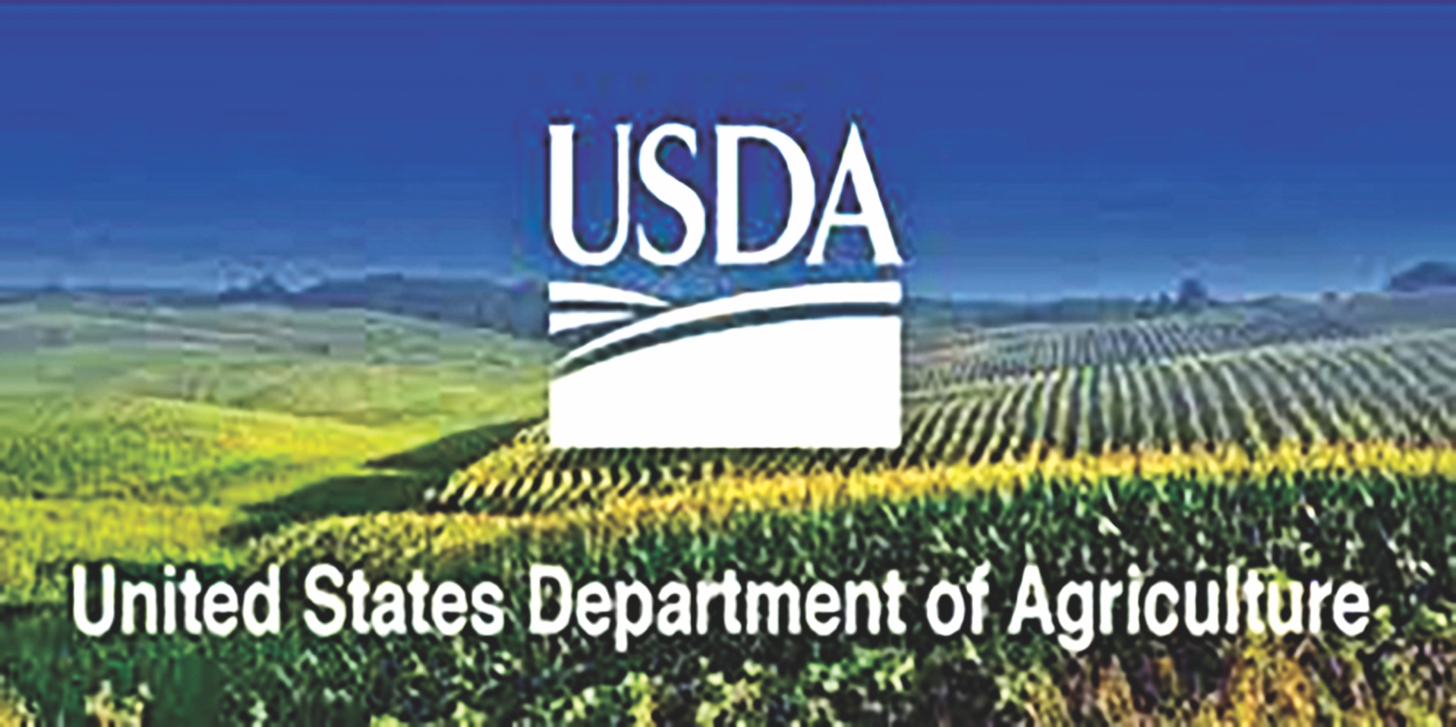 USDA cuts Bangladesh’s cotton import forecast