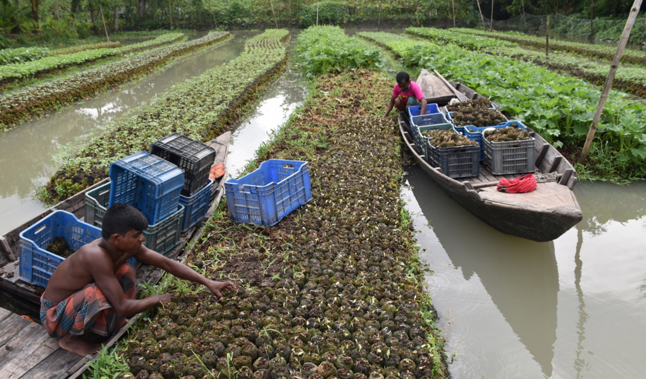 What will the next phase of floating agriculture look like?