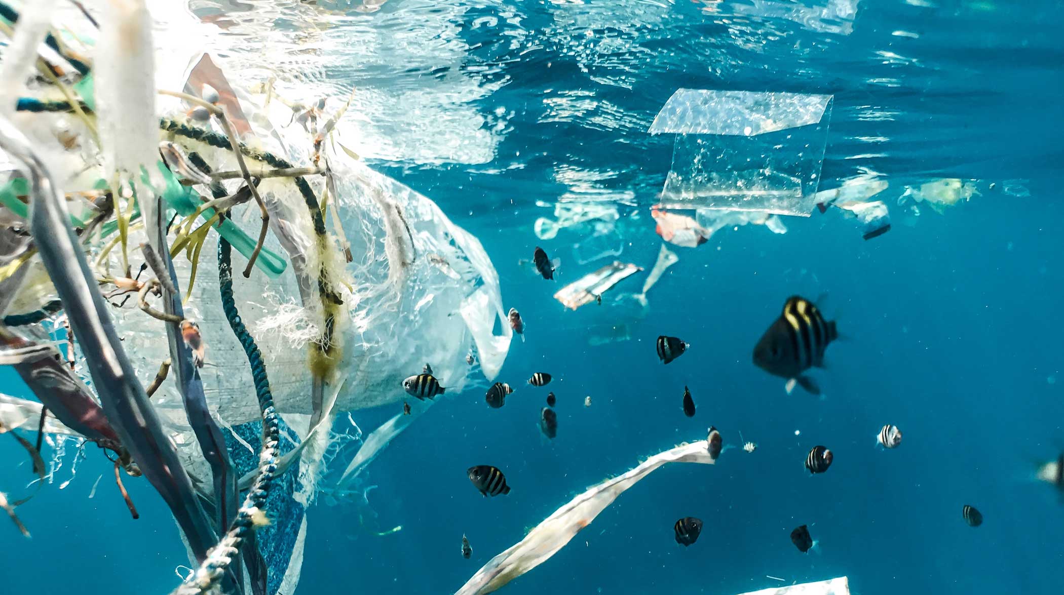 A case for mindful consumption in a mindless era