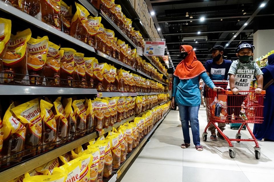 Indonesia bans palm oil exports