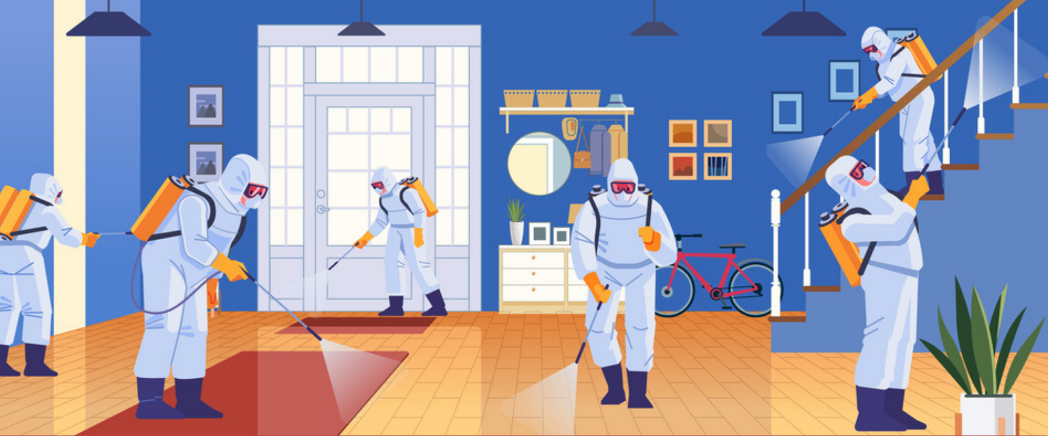 Pest control: how to deal with cockroaches and other vermin 