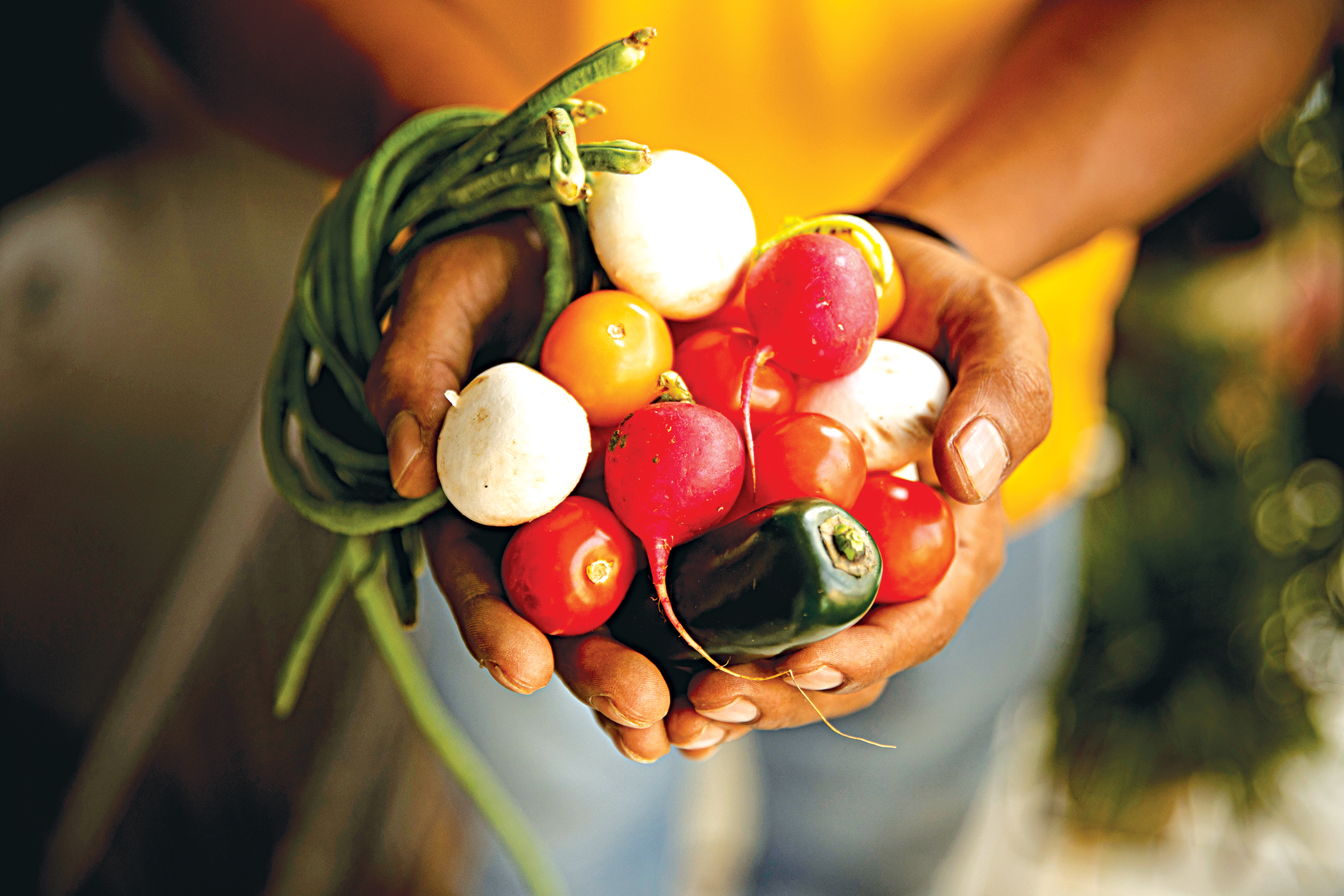 Inflation, war eating away food gains