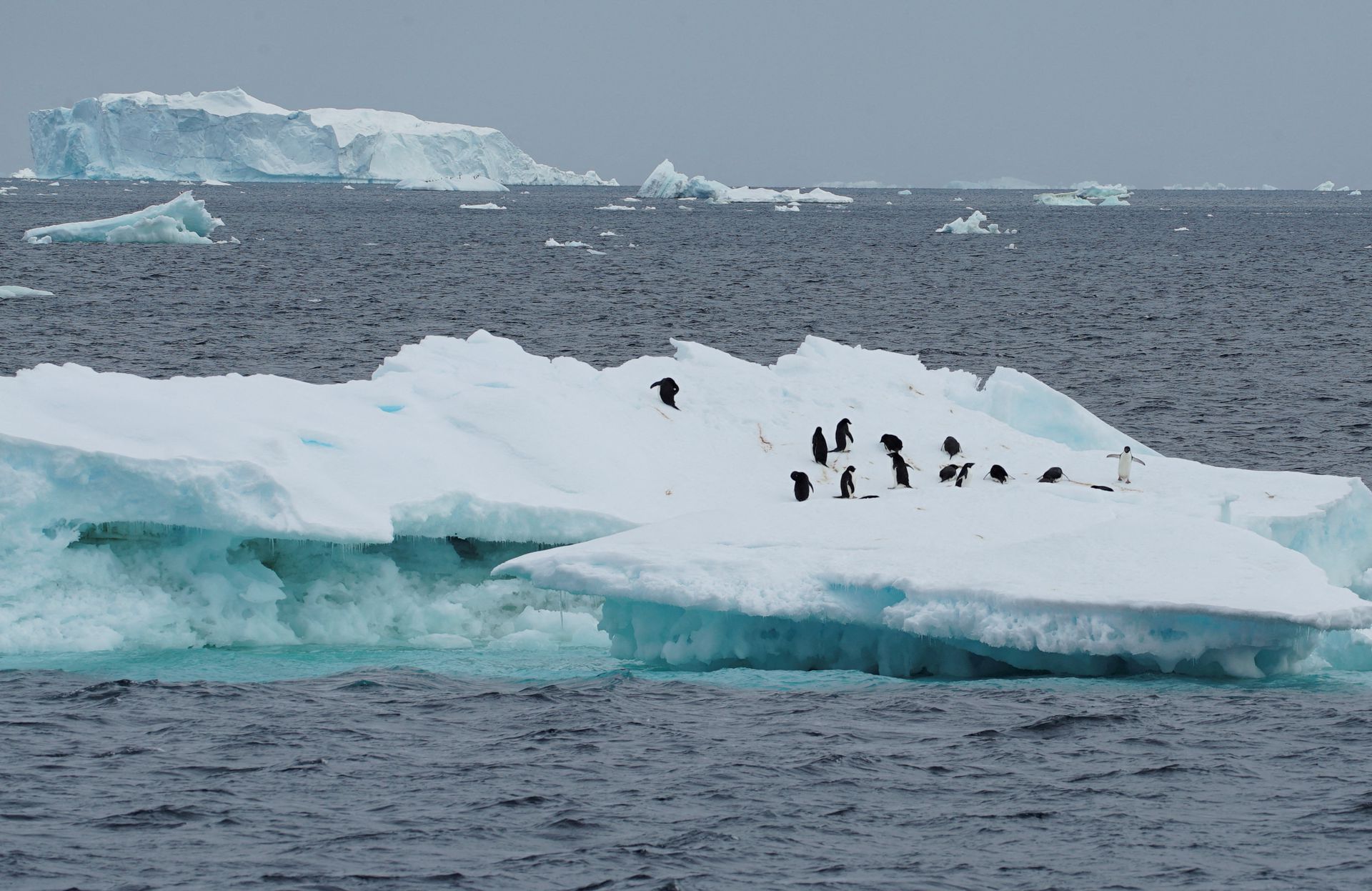 Reflections on the climate change actions of 2022