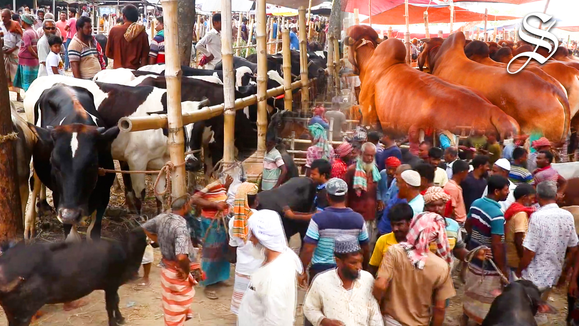 Eid-ul-Azha: Govt declares 7-day holiday