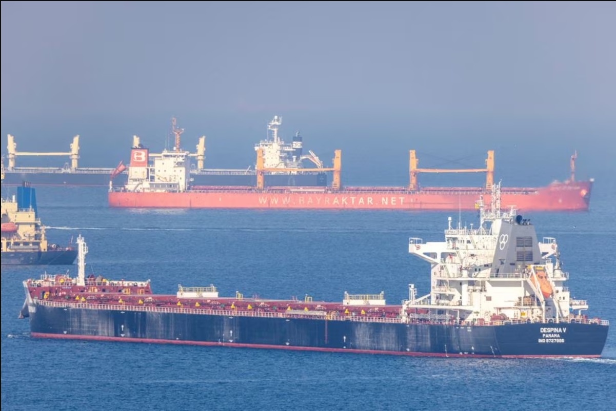 What is the Black Sea grain deal and what happens when it expires?