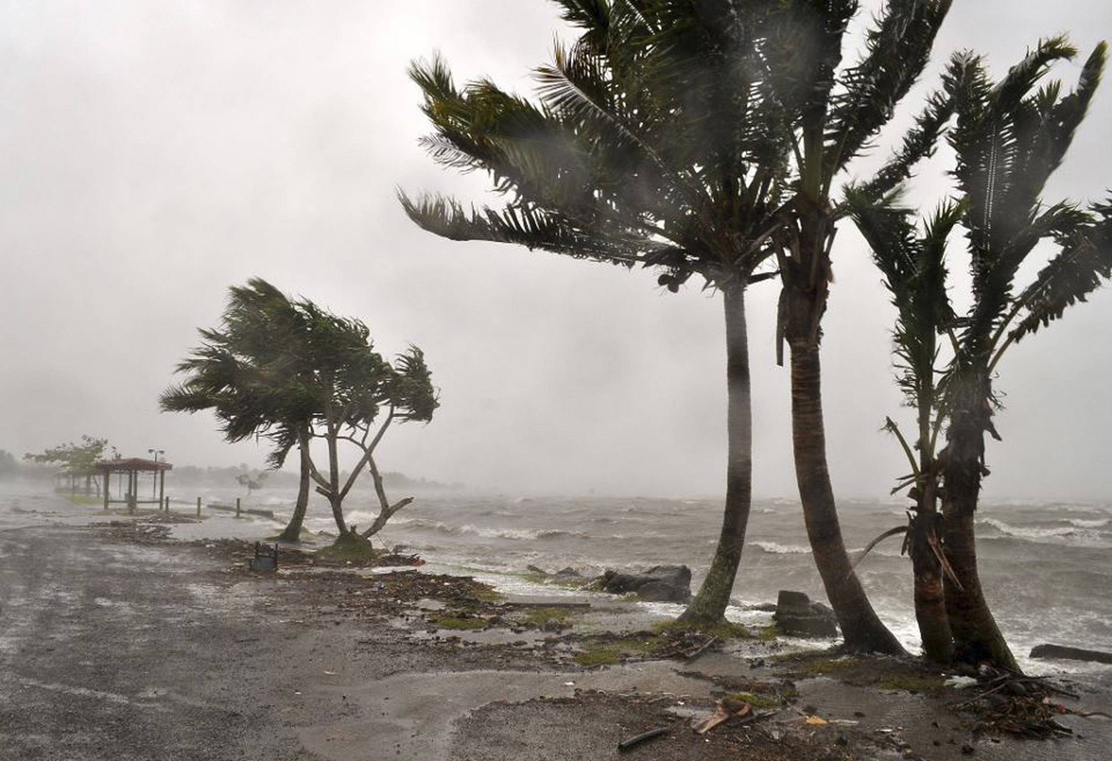 What Asia can do to fight climate change&nbsp;