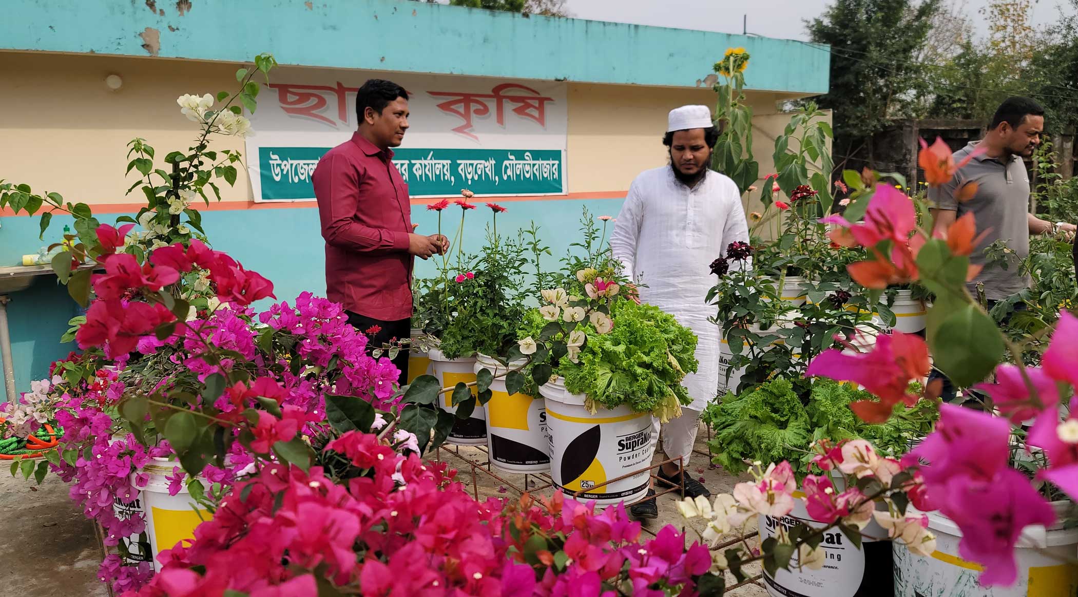 From barren roof to blooming garden 