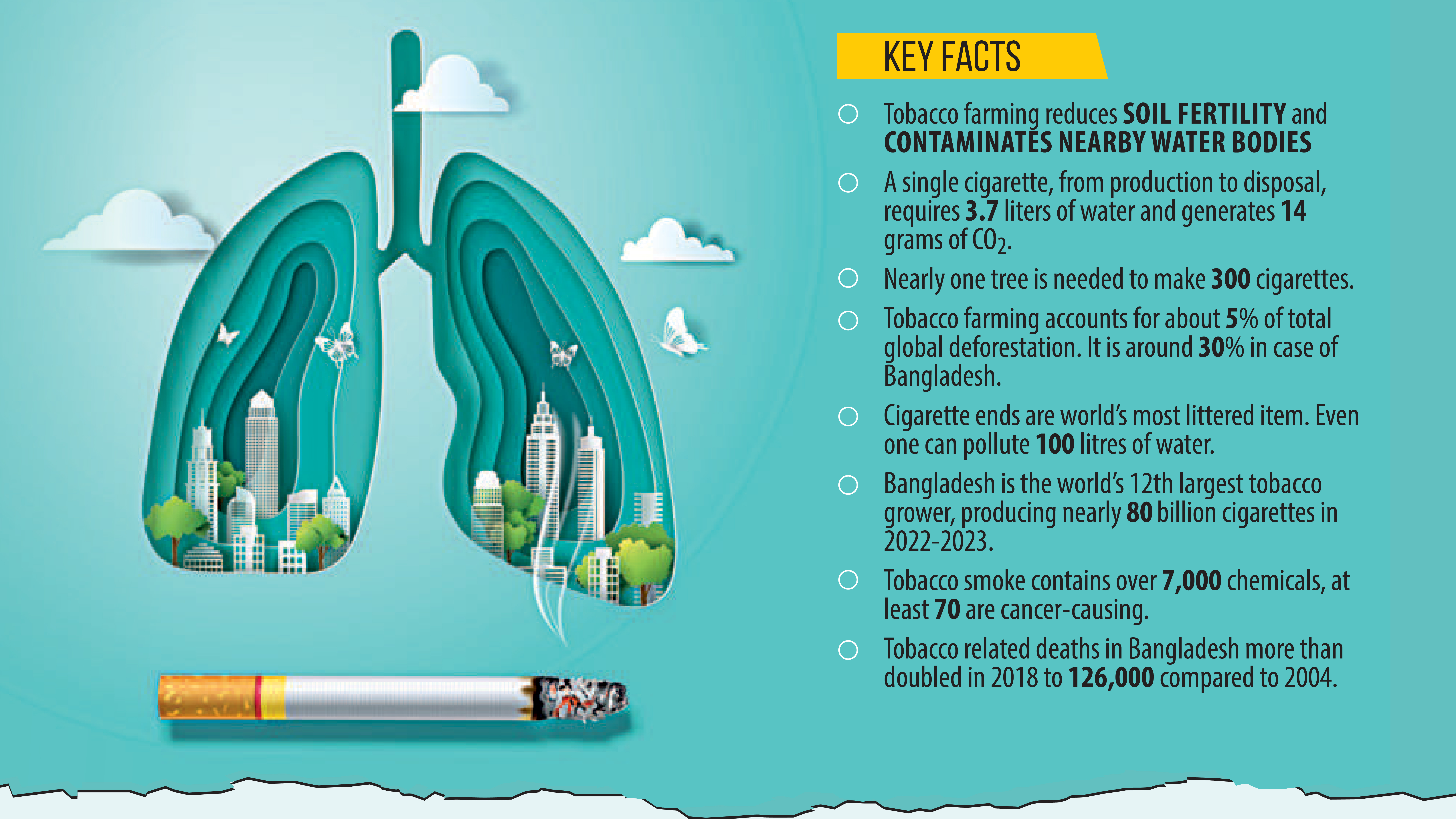 Big tobacco push drives up per hectare production