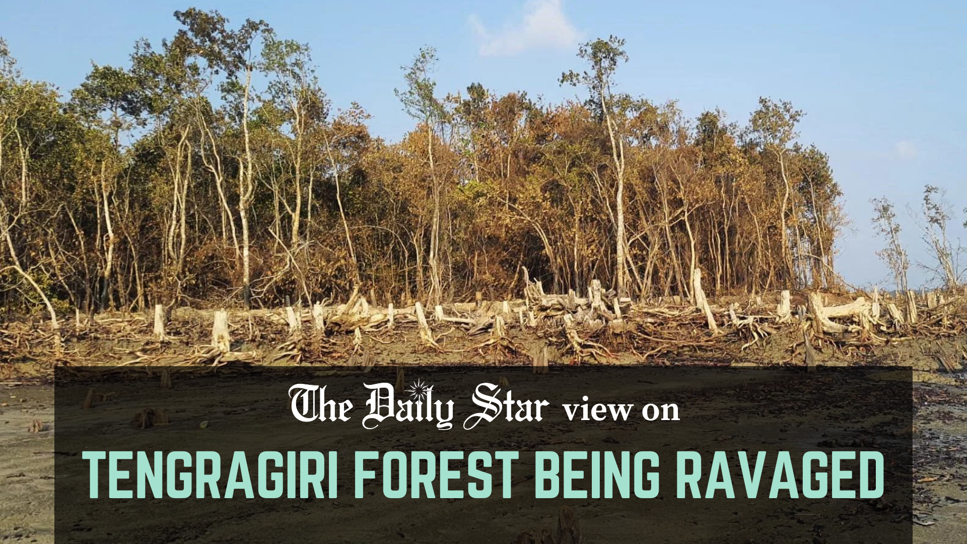 We must protect Tengragiri forest at any cost 