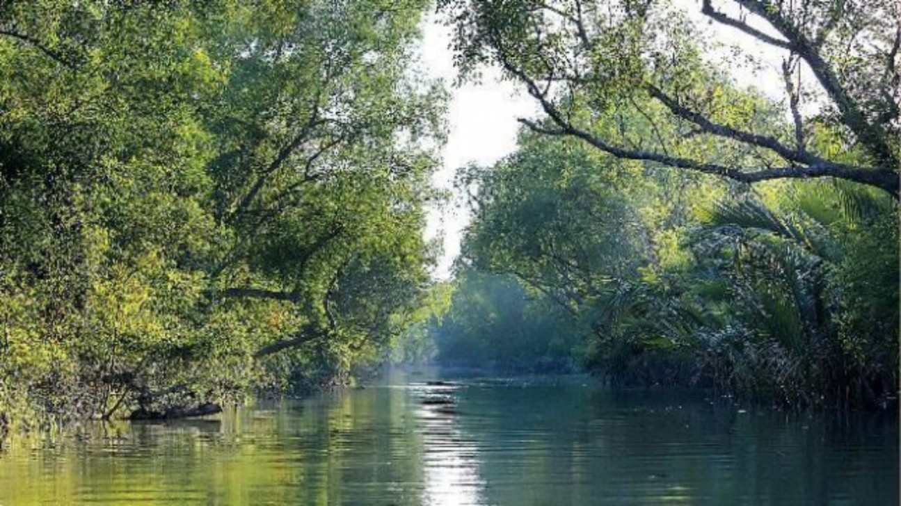 Why should Bangladesh have Sundarbans biosphere reserve?