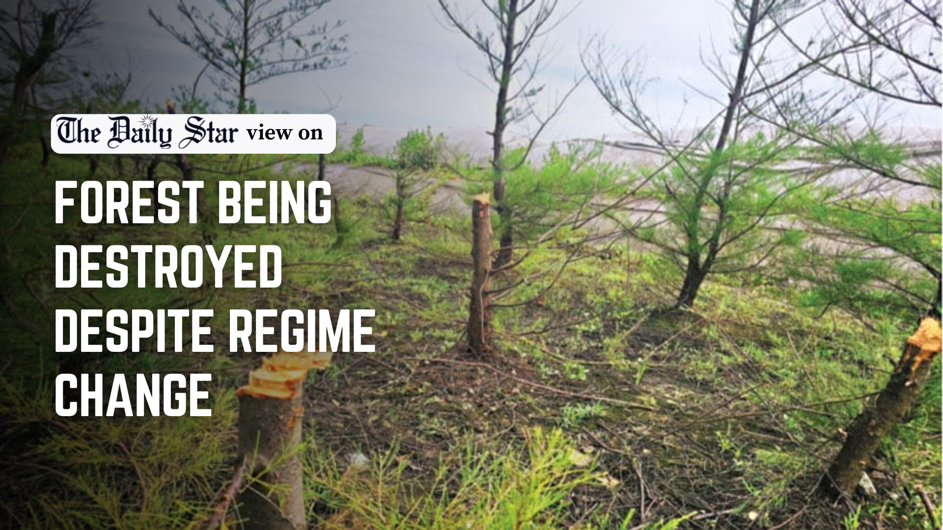 No excuse for environmental degradation anymore