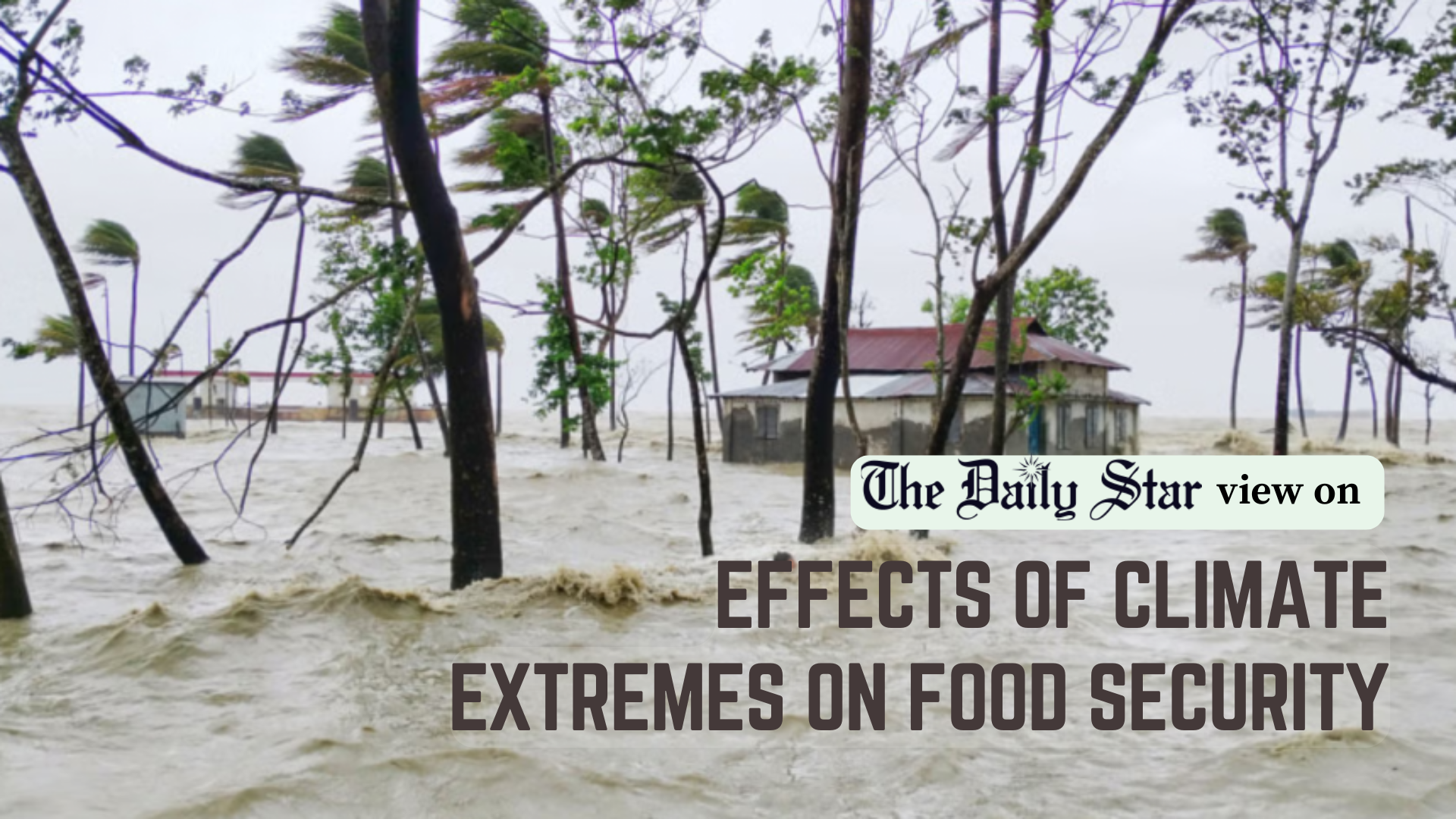 Take steps to ensure our food security