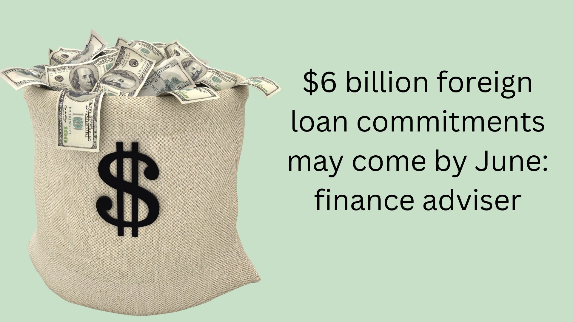 $6 billion foreign loan commitments may come by June: finance adviser