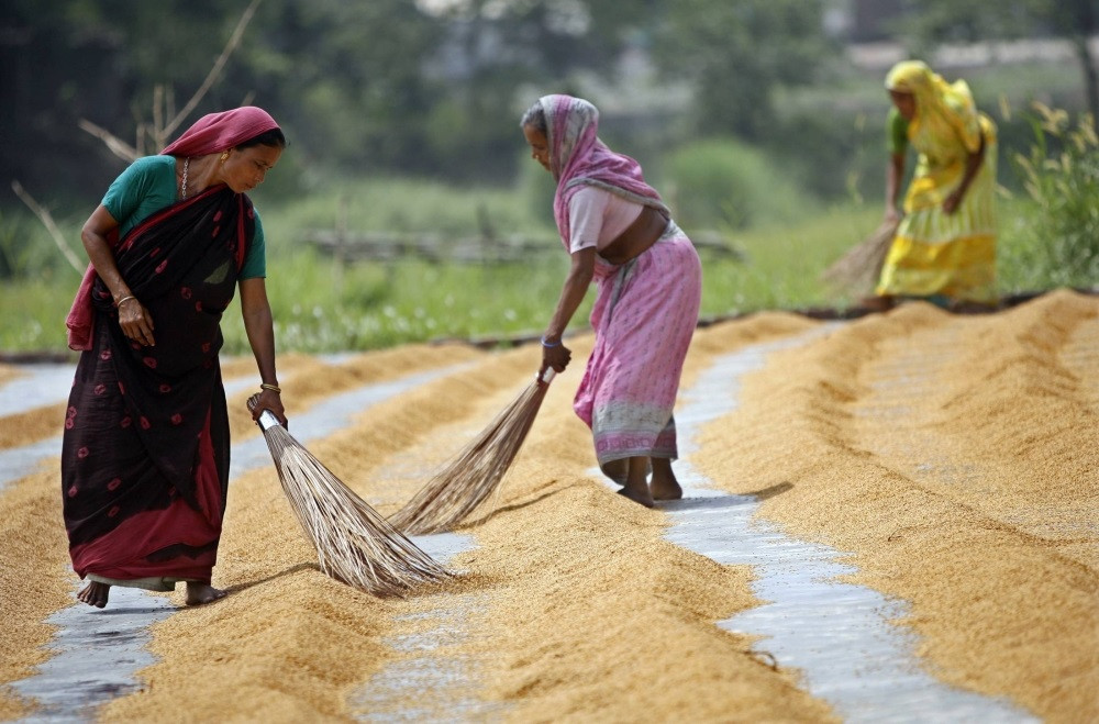 How women are revolutionising our agriculture