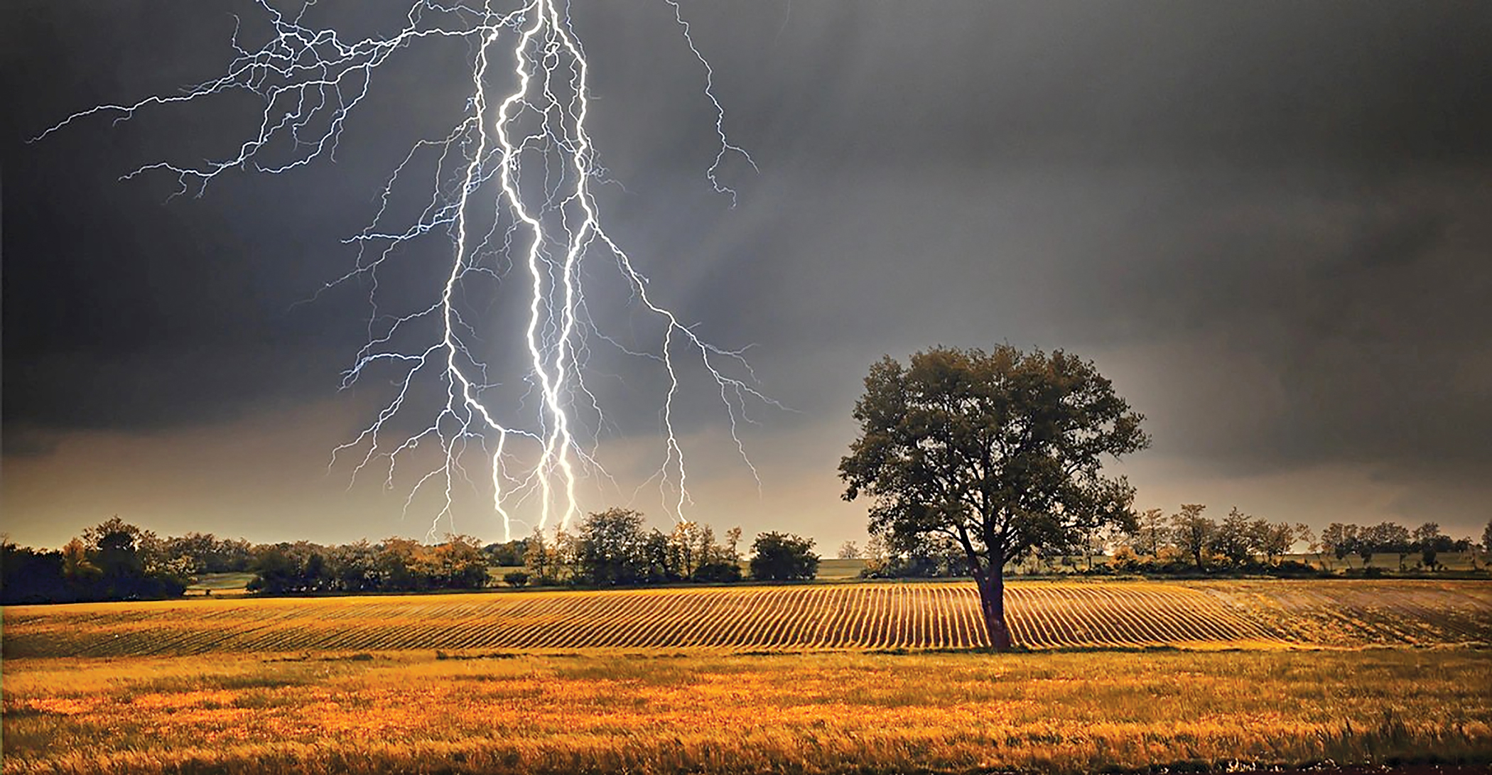 Lightning strikes kill 13