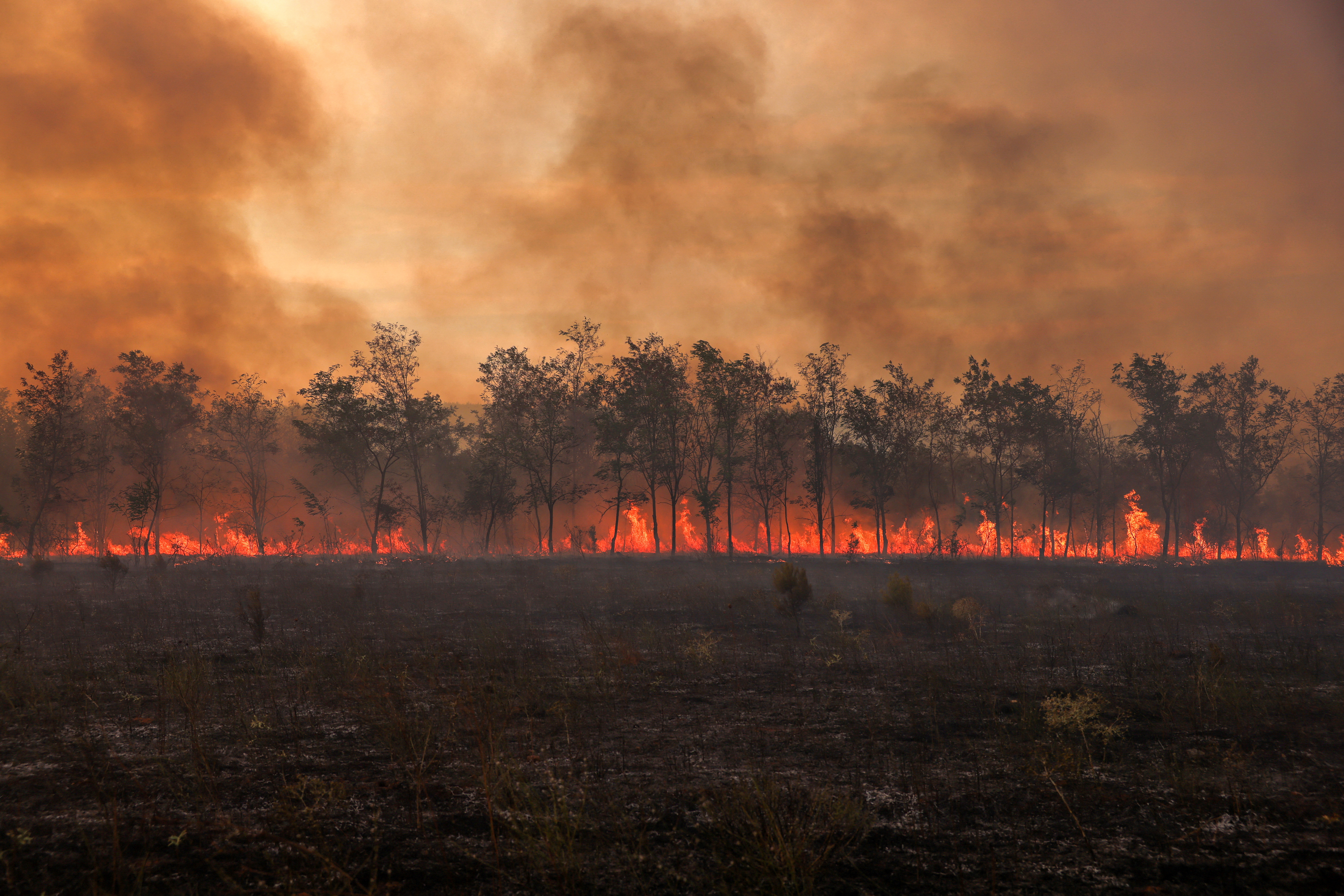 Global trade war puts climate action under threat