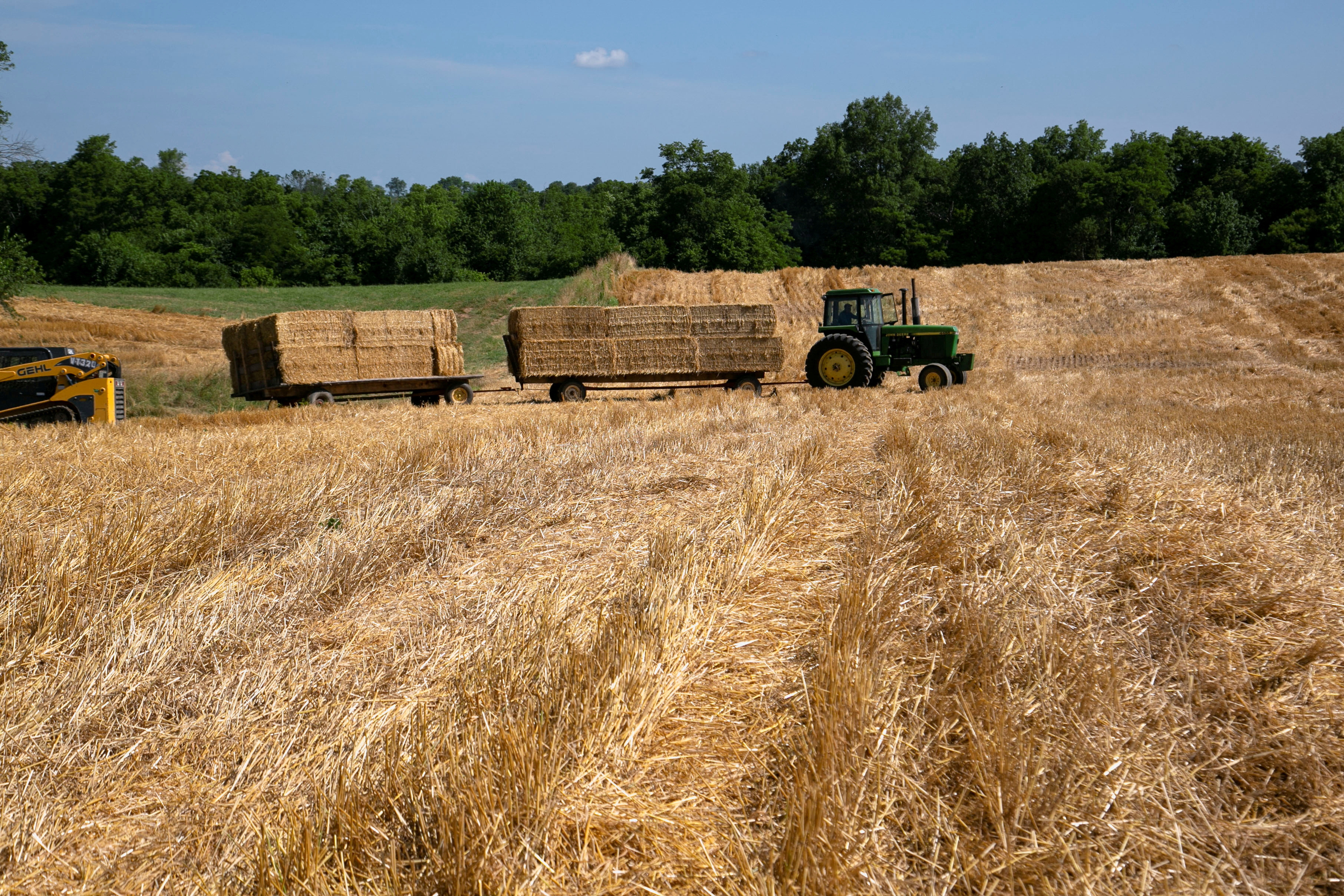 First consignment of 440,000 tonnes of US wheat arrives