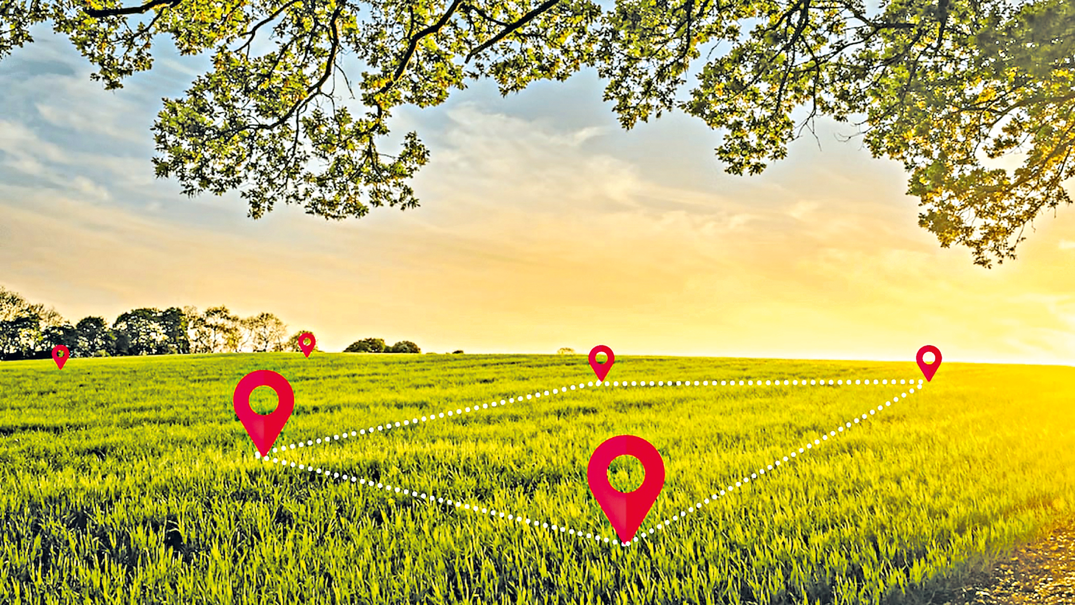 Preventing land-related fraud through digitalisation