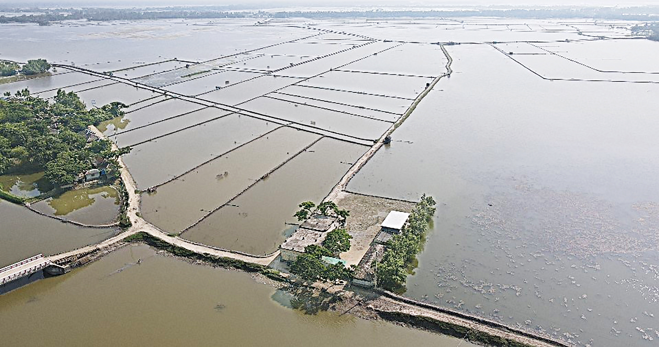 Salinity puts lives, livelihoods at risk in the South