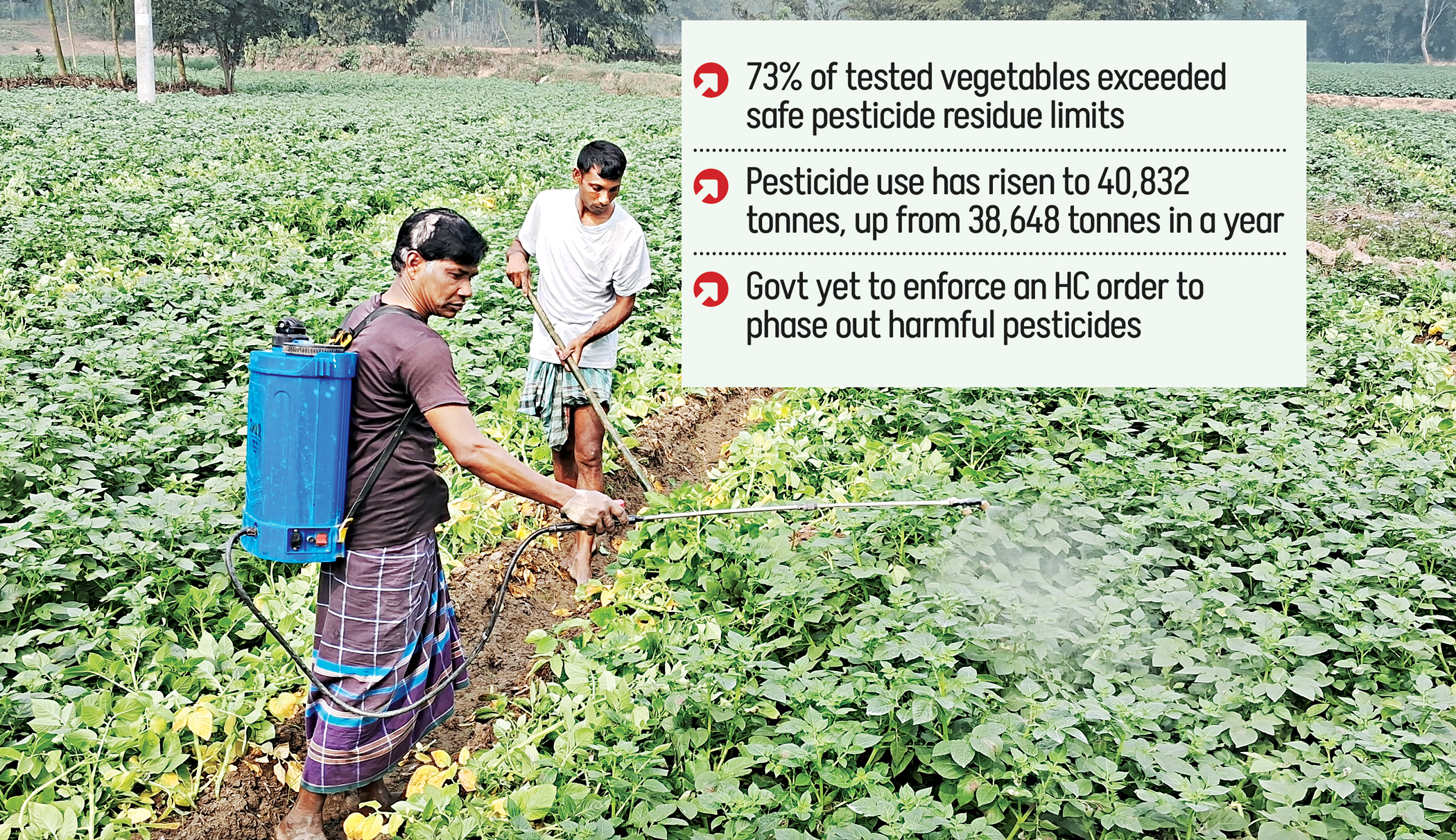 17 highly harmful pesticides widely used across country