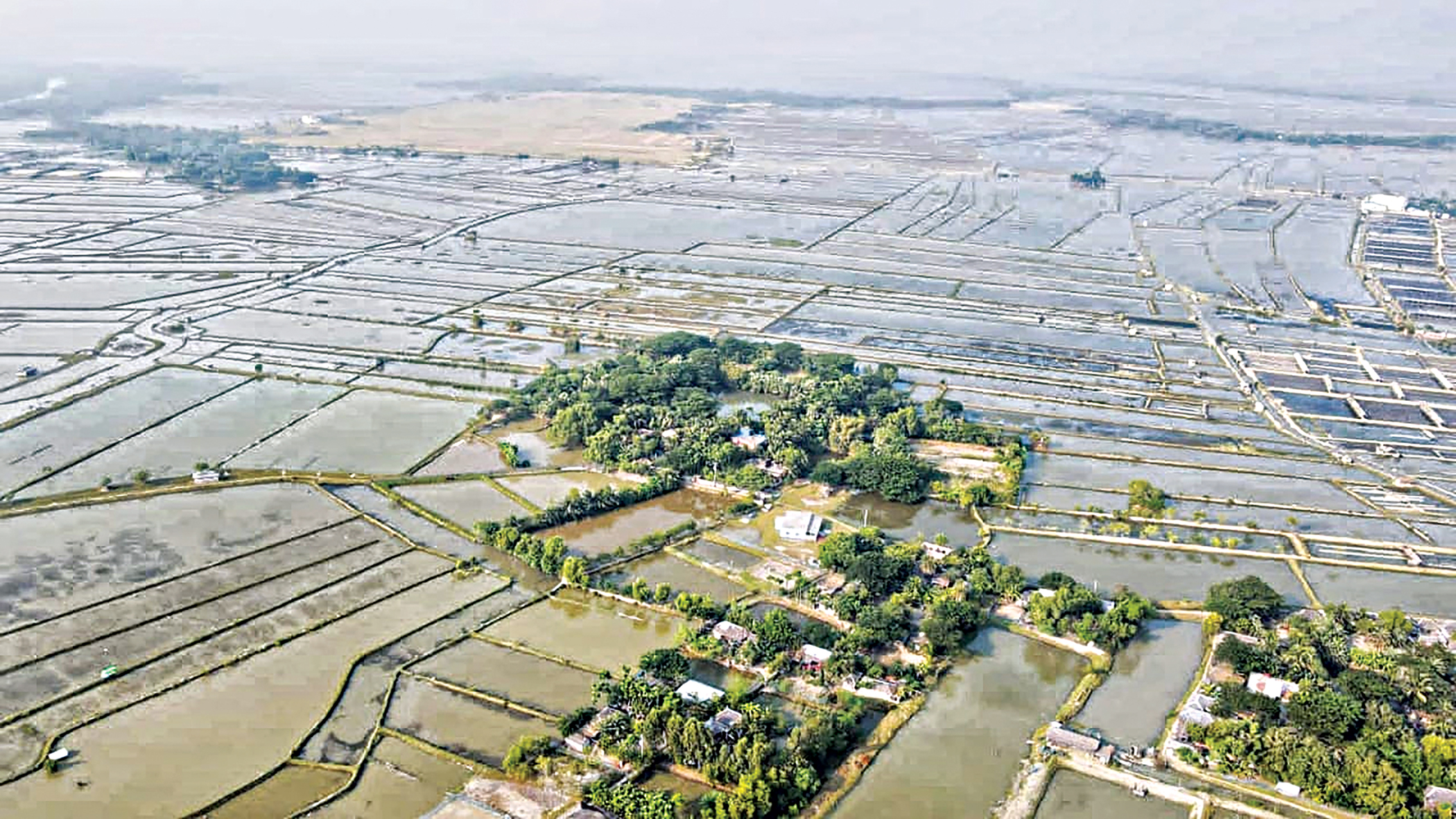 How salinity sank Satkhira farmers' harvests 