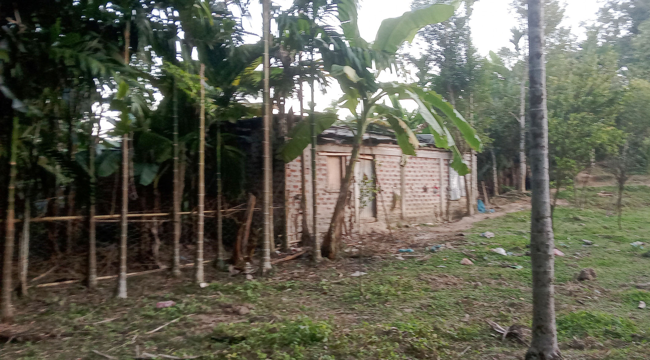Rajkandi Reserve Forest: Illegal constructions threaten biodiversity