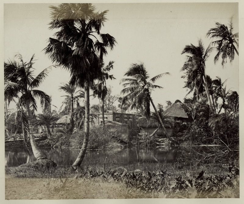 View of a village town in Bengal in the 1860s
