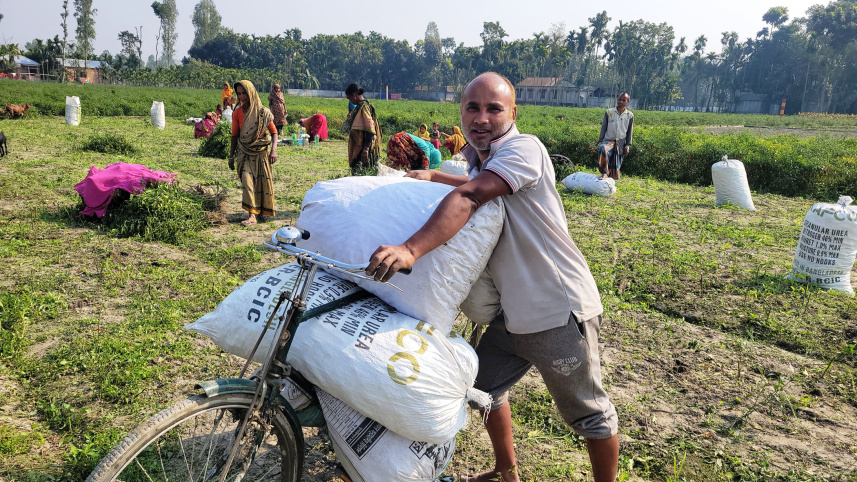 chilli-farming-1.jpg