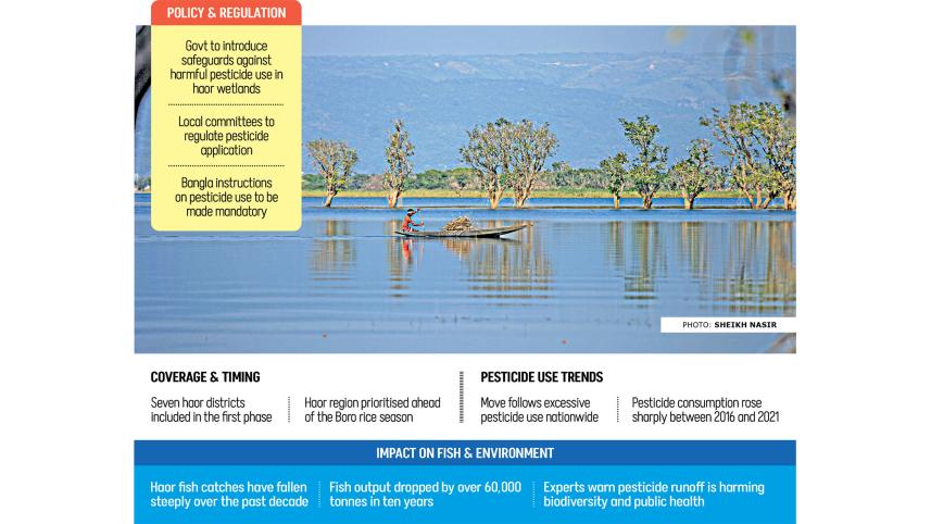 Govt to curb pesticide use in seven haor districts