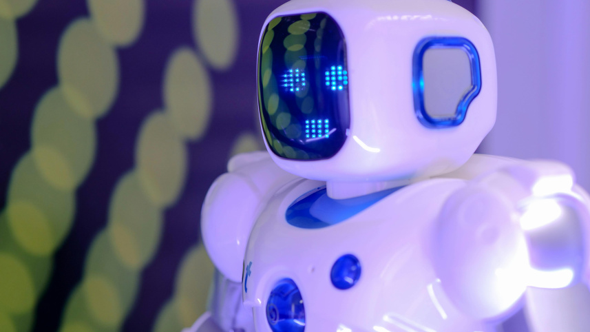 Robot