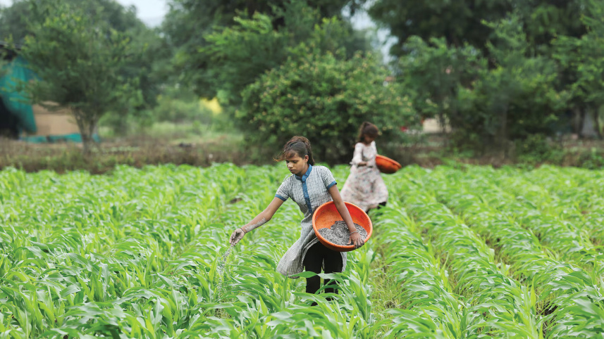 Asia_fertiliser.jpg
