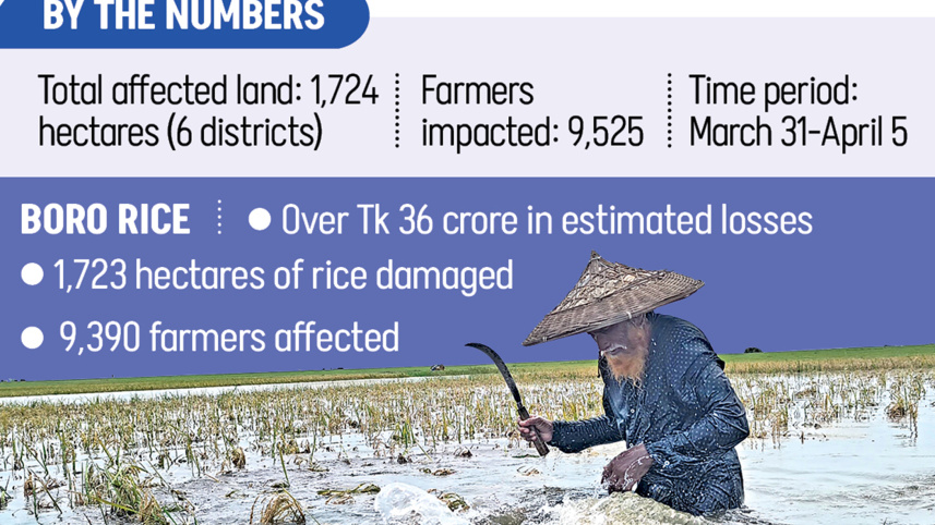 Bangladesh Boro Rice Crop Damage 2026